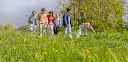 Gezin lopend over grasveld