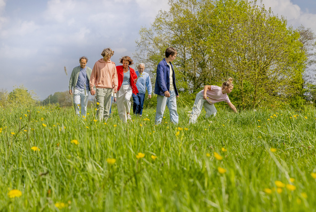 Gezin lopend over grasveld