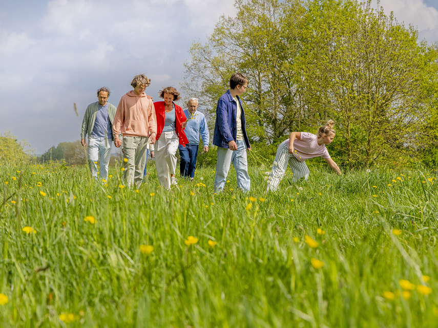 Gezin lopend over grasveld
