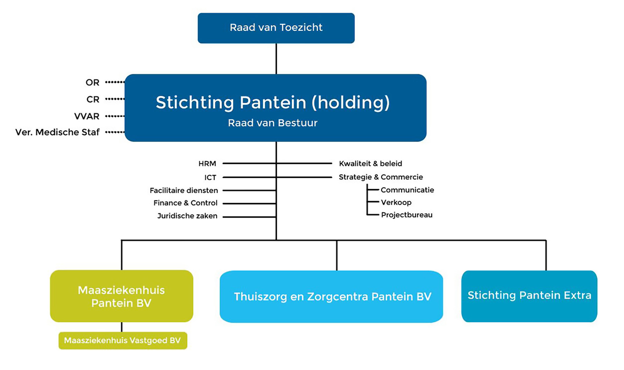 Organogram Pantein 2025