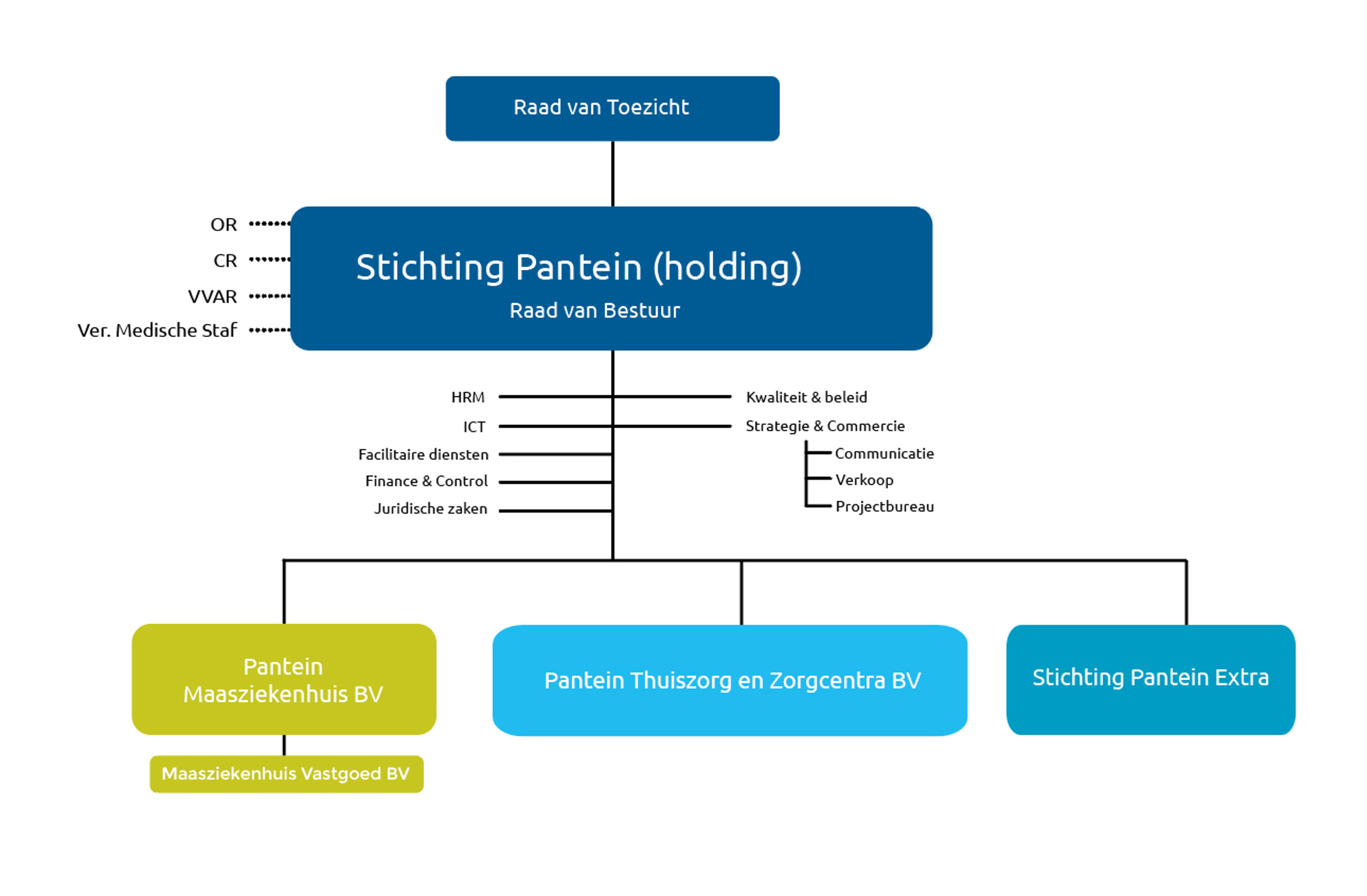 Organogram Pantein 2026