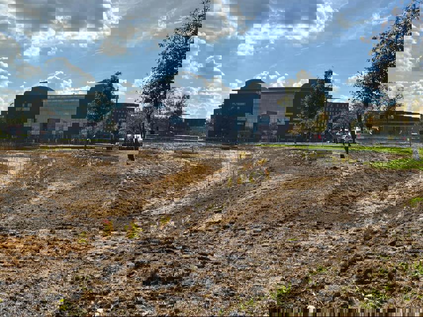 Afbeelding biodiverse ingerichte wadi